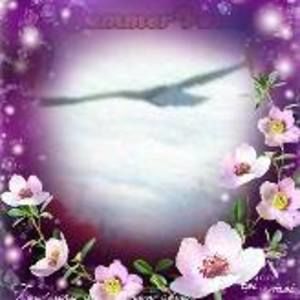 Meet your Posher, Joyce